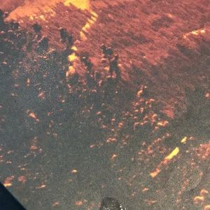 Meet your Posher, Connie